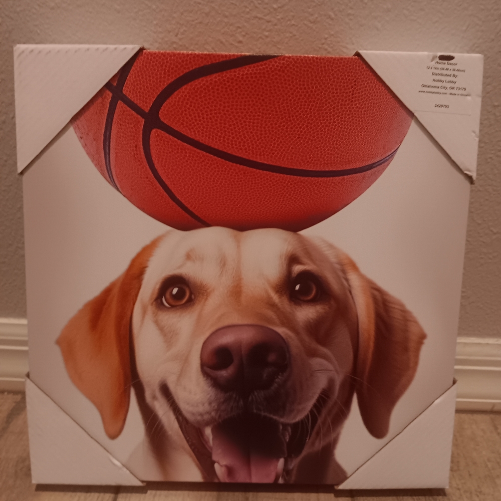 Dog with Basketball Canvas Art